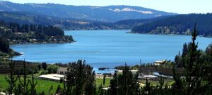 IMG_1719